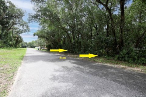 Terreno en venta en Crystal River, Florida № 2236665 - foto 8