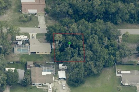 Terreno en venta en Crystal River, Florida № 2236665 - foto 4