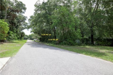 Terreno en venta en Crystal River, Florida № 2236665 - foto 6