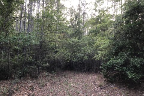 Terreno en venta en Freeport, Florida № 559231 - foto 1