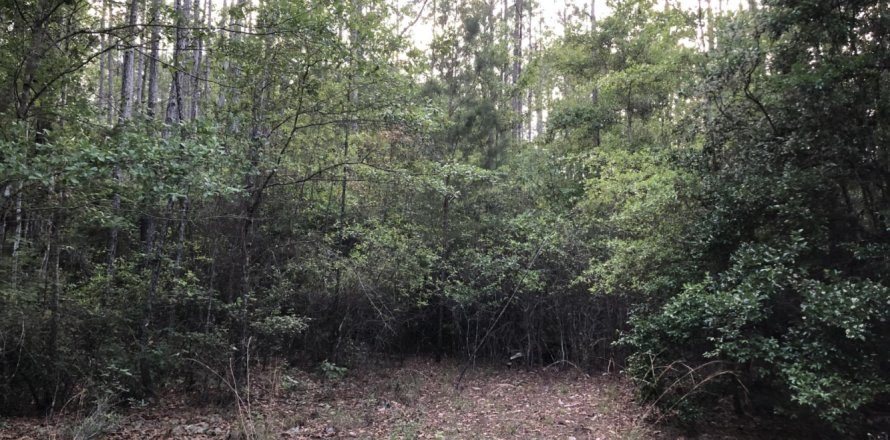 Terreno en Freeport, Florida № 559231
