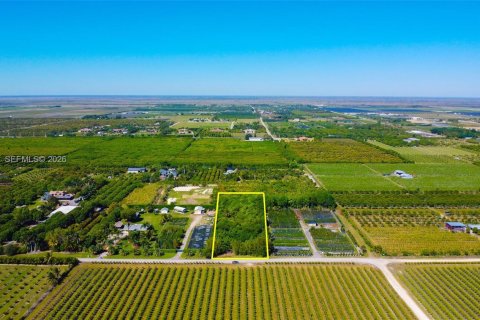 Immobilier commercial à Homestead, Floride № 2257066
