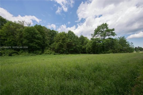 Commercial property in Miami, Florida № 1997788