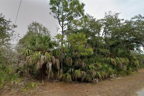 Land in Port Charlotte, Florida № 2377865 - photo 2
