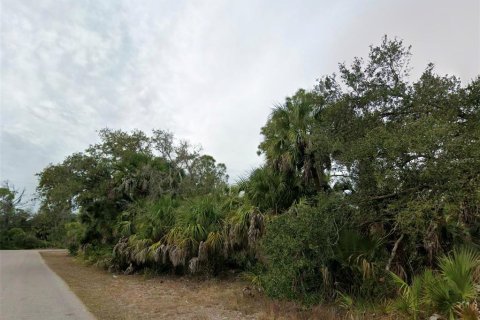 Land in Port Charlotte, Florida № 2377865 - photo 3