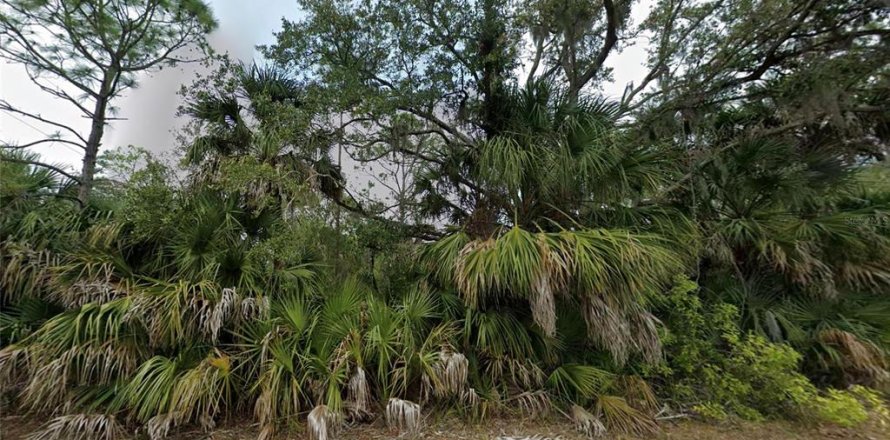 Land in Port Charlotte, Florida № 2377865