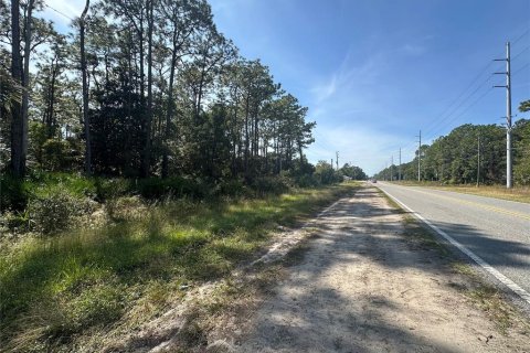 Land in Homosassa, Florida № 2091478 - photo 5