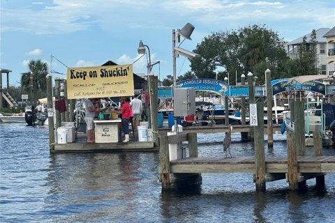 Land in Homosassa, Florida № 2091478 - photo 8
