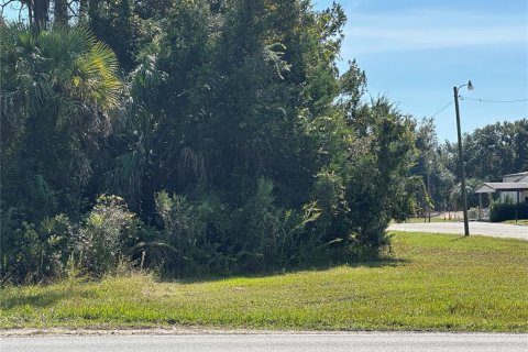 Land in Homosassa, Florida № 2091478 - photo 4