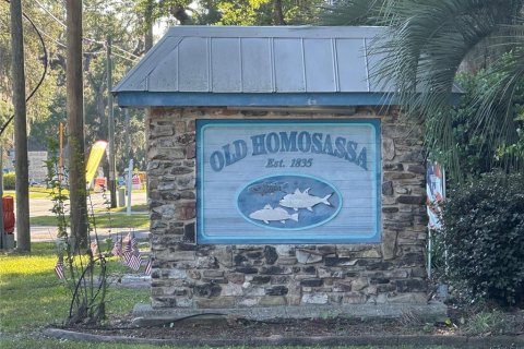 Land in Homosassa, Florida № 2091478 - photo 7