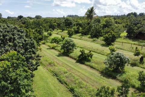 Villa ou maison à vendre à Homestead, Floride: 2 chambres, 82.59 m2 № 1941535 - photo 21