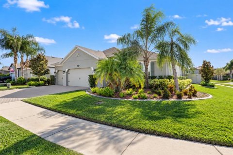 House in Lutz, Florida 4 bedrooms, 256.6 sq.m. № 2429299 - photo 4