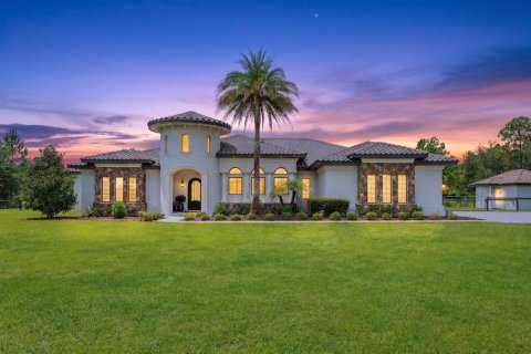 Villa ou maison à vendre à Orlando, Floride: 5 chambres, 416.57 m2 № 2314634 - photo 2