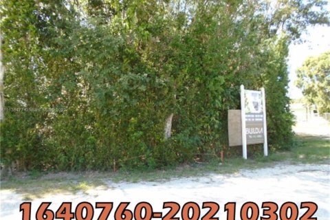 Land in Key Largo, Florida № 55187 - photo 1