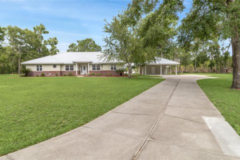 Villa ou maison à vendre à Mayo, Floride: 5 chambres, 298.22 m2 № 1778120 - photo 4