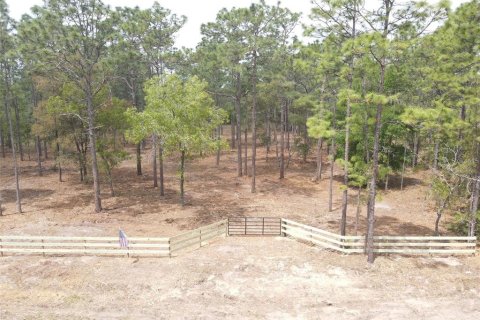 Terrain à Dunnellon, Floride № 2239525