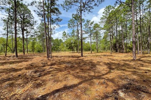 Terrain à vendre à Dunnellon, Floride № 2239525 - photo 6