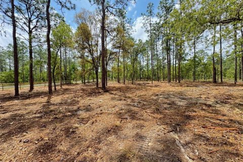 Terrain à vendre à Dunnellon, Floride № 2239525 - photo 5