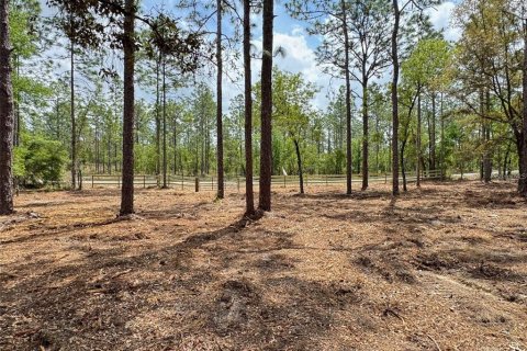 Terrain à vendre à Dunnellon, Floride № 2239525 - photo 4