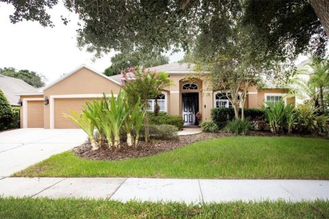 House in Seffner, Florida 4 bedrooms, 247.03 sq.m. № 1914929 - photo 1