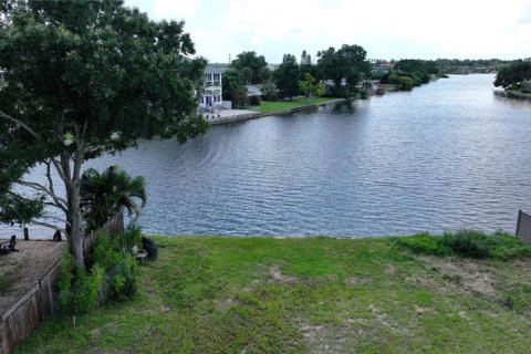 Villa ou maison à vendre à Safety Harbor, Floride: 3 chambres, 184.88 m2 № 2339251 - photo 12