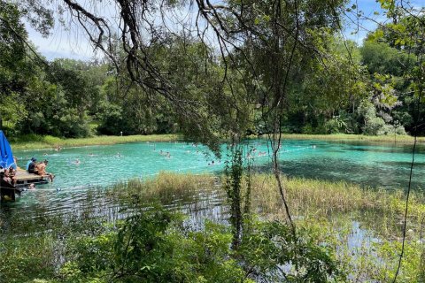 Land in Dunnellon, Florida № 2159918 - photo 3