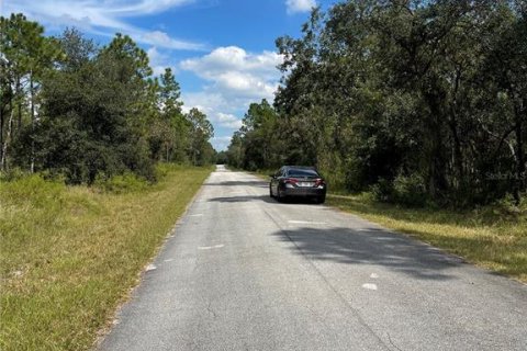 Land in Dunnellon, Florida № 2159918