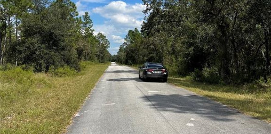Land in Dunnellon, Florida № 2159918