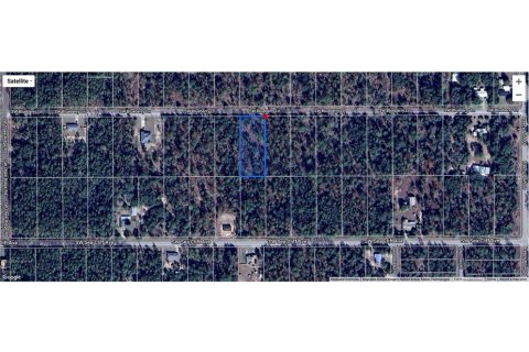 Land in Dunnellon, Florida № 2159918 - photo 6