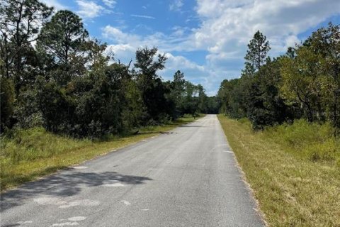 Land in Dunnellon, Florida № 2159918 - photo 2