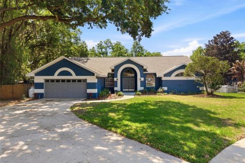 House in Brandon, Florida 4 bedrooms, 257.9 sq.m. № 2092250
