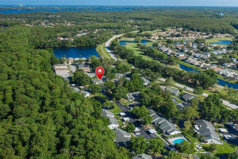 House in Palm Harbor, Florida 2 bedrooms, 111.2 sq.m. № 2208645 - photo 22