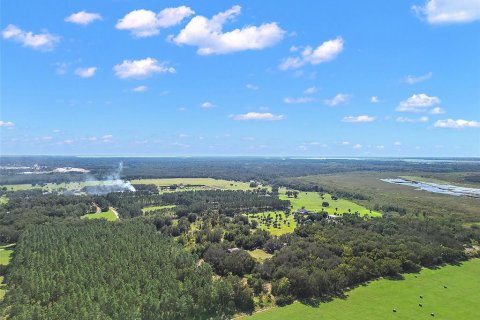 Land in Leesburg, Florida № 1402330 - photo 5