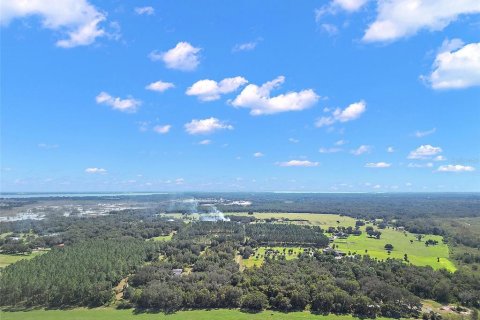 Land in Leesburg, Florida № 1402330 - photo 6
