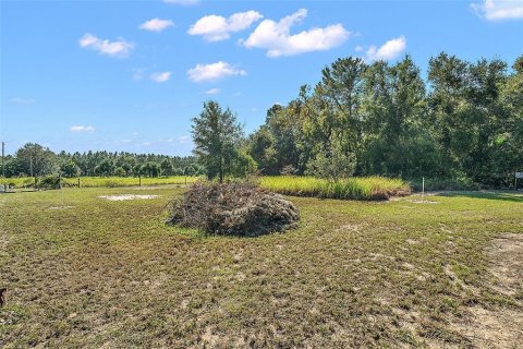 Land in Leesburg, Florida № 1402330 - photo 20