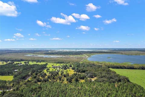 Land in Leesburg, Florida № 1402330 - photo 4
