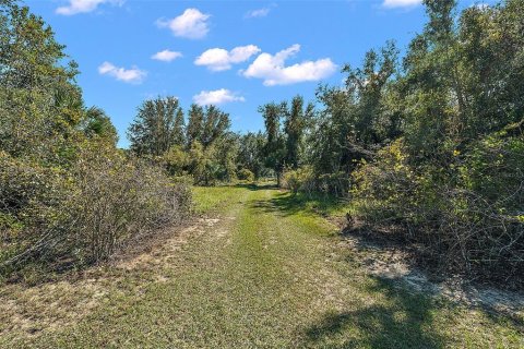 Land in Leesburg, Florida № 1402330 - photo 18