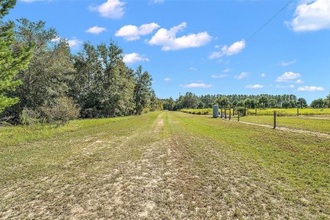 Land in Leesburg, Florida № 1402330 - photo 21