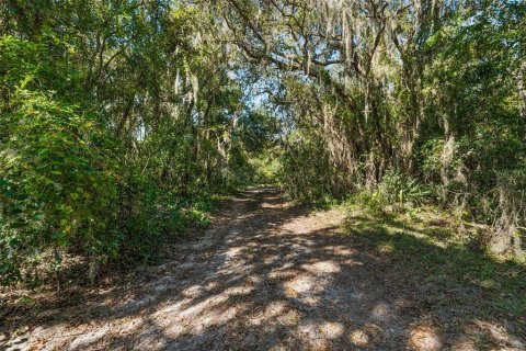 Land in Leesburg, Florida № 1402330 - photo 16