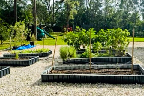 Casa en alquiler en Loxahatchee Groves, Florida, 6 dormitorios, 303.88 m2 № 932257 - foto 1