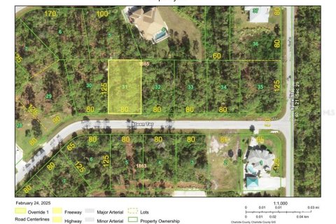 Land in Port Charlotte, Florida № 2159085 - photo 3