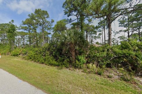 Land in Port Charlotte, Florida № 2159085 - photo 2