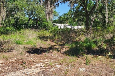 Terrain à New Port Richey, Floride № 2162373