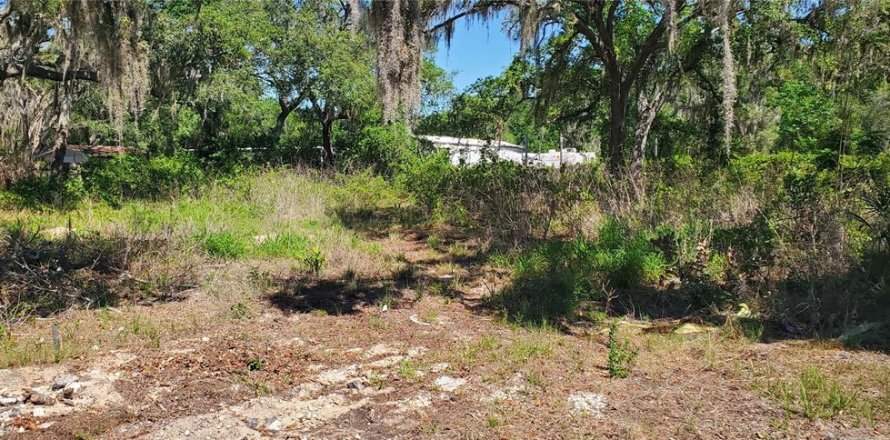 Terrain à New Port Richey, Floride № 2162373