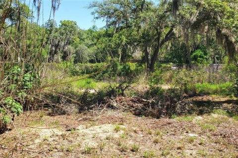 Terrain à vendre à New Port Richey, Floride № 2162373 - photo 2