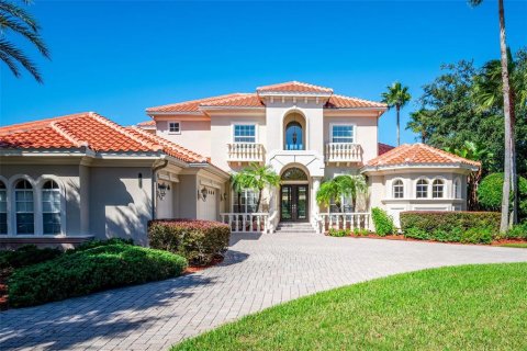 House in Tampa, Florida 4 bedrooms, 400.5 sq.m. № 2425333