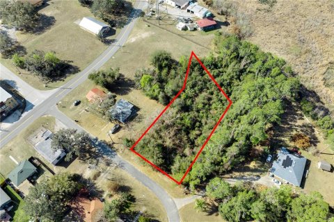 Land in Howey-in-the-Hills, Florida № 2098594 - photo 3