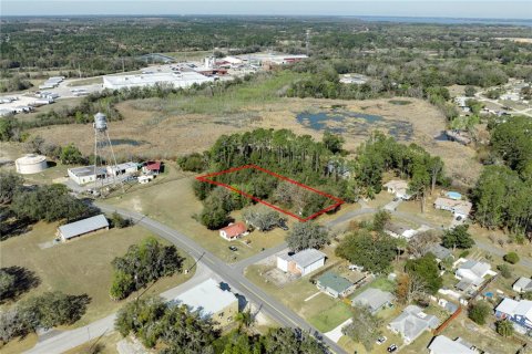 Land in Howey-in-the-Hills, Florida № 2098594 - photo 12