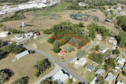 Land in Howey-in-the-Hills, Florida № 2098594 - photo 7