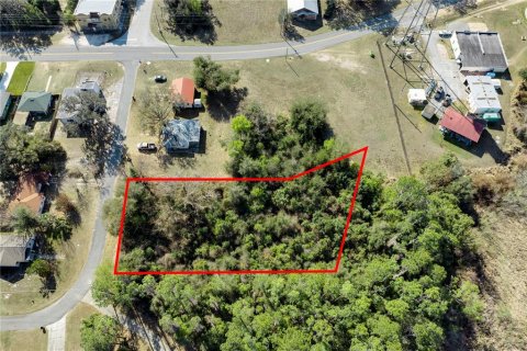 Land in Howey-in-the-Hills, Florida № 2098594 - photo 2